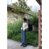 2000s fashion Casual Jeans for Women 2024 Retro Loose Draping Wide-Leg Pants for Women 