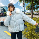 2000s fashion Women's down Cotton-Padded Coat 2024 New Women's Large Fur Collar Cotton-Padded Jacket Loose Thickened Coat Short