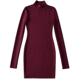 Autumn and Winter New Sexy Turtleneck Tight Slimming Long Sleeve Bottoming Slimming Dress Hip Skirt for Women